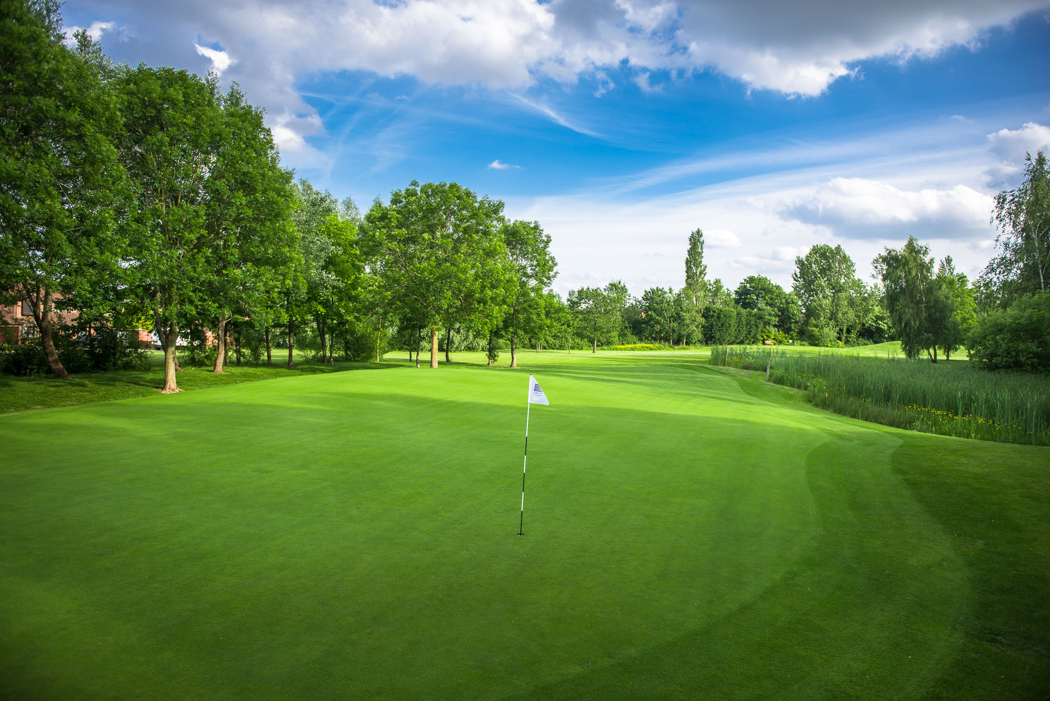 neatly trimmed golf green at a golf company
