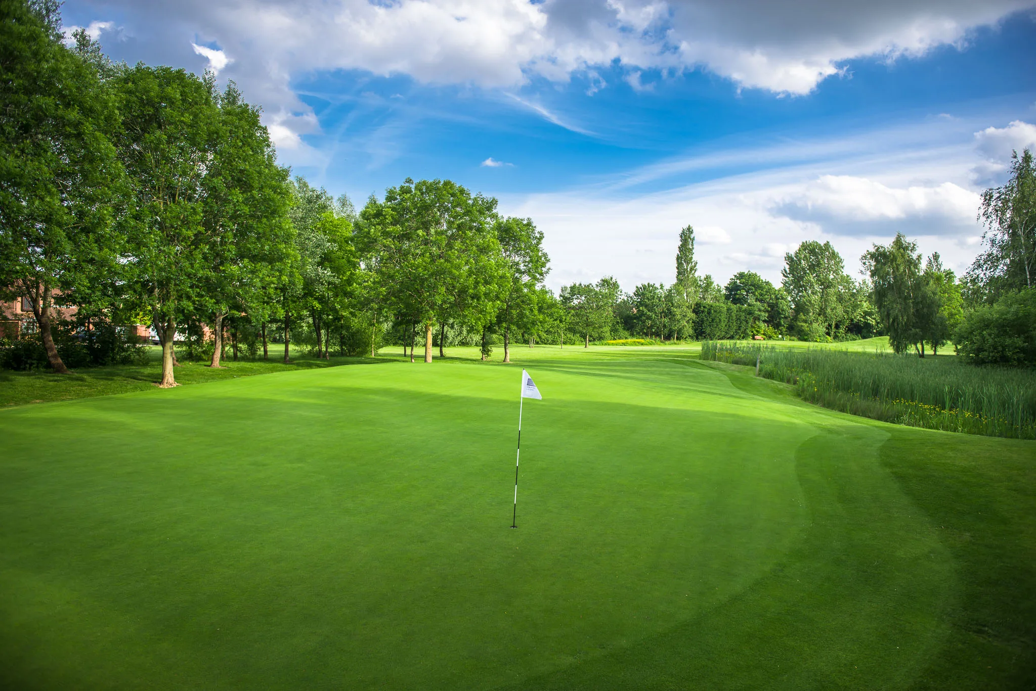 neatly trimmed golf green at a golf company