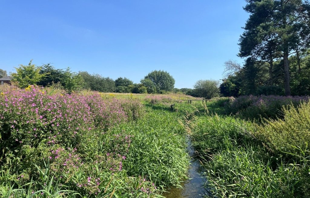 natural space at one of burhill groups courses